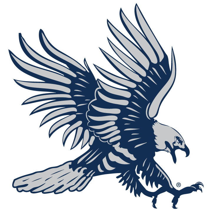 Athletic Hawk Blue and Gray