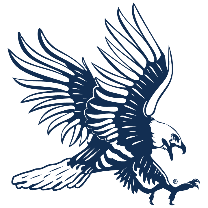 Athletic Hawk Blue