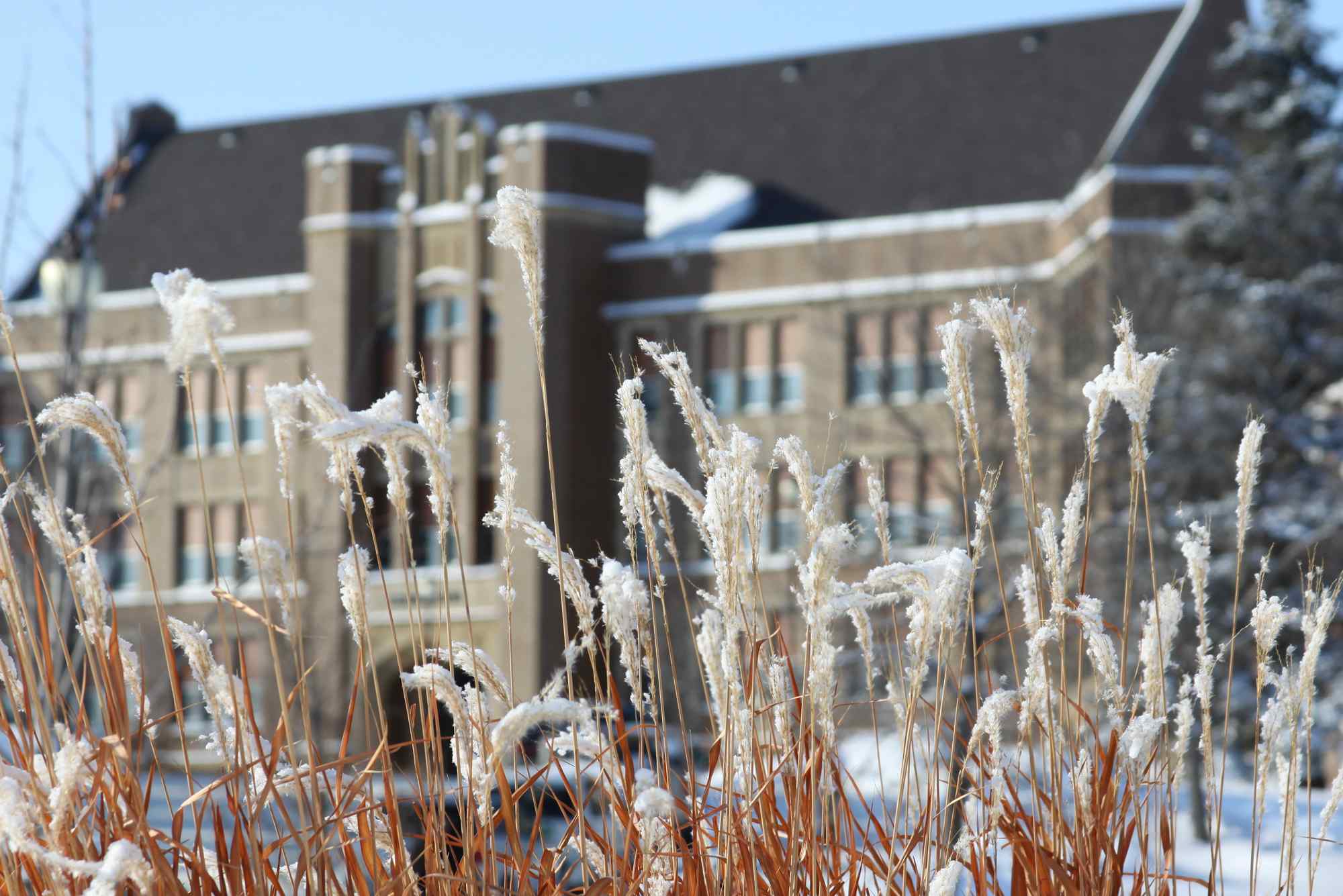 May Hall in the winter.