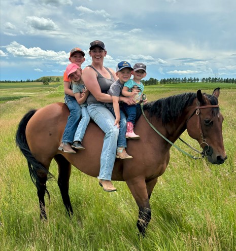 Horse Family