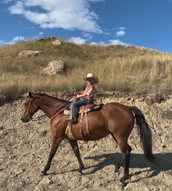 Little Cowboy