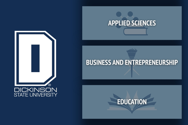 DSU Academic Schools